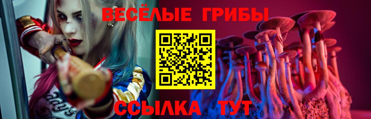 Галлюциногенные грибы Magic Shrooms  Псилоцибиновые грибы мицелий  Вход с VPN  Ейск 